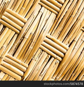 texture bamboo in morocco africa brown natural line closeup