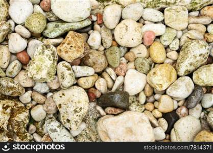 Texture colored sea rocks, background
