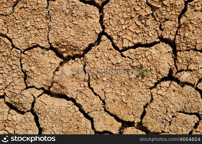 Texture cracked, dry the surface of the earth. Earth turned into a desert. Global warming, drought.