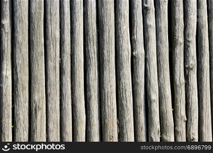 texture from wooden logs. texture from big old grey and wooden logs