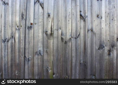 Texture from wooden vertical boards like fence. Background from boards of wooden fence. Wooden pattern of old boards. Texture from wooden vertical boards like fence