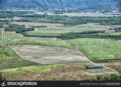 texture in australia field of colutivation from the high