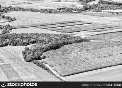 texture in australia field of colutivation from the high