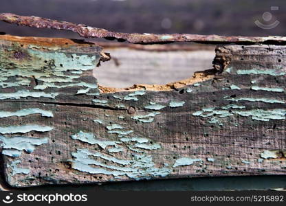 texture in spain lanzarote abstract green brown window