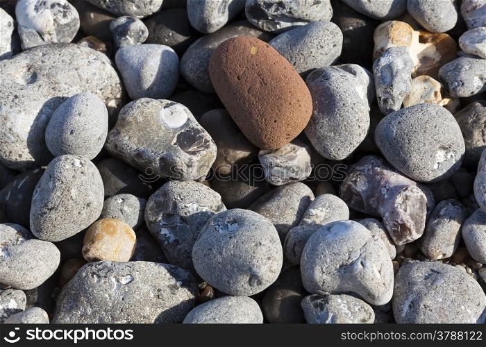 Texture in the rocks, Beach of Dieppe, Cote d&rsquo;Albatre, Haute-Normandie, France