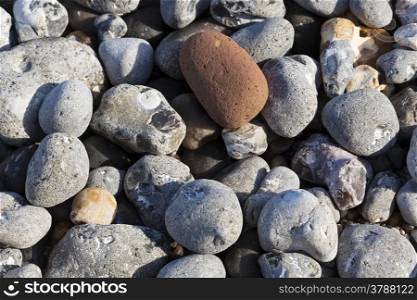 Texture in the rocks, Beach of Dieppe, Cote d&rsquo;Albatre, Haute-Normandie, France
