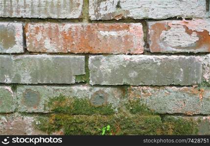 Texture of a brick foundation with an old moss