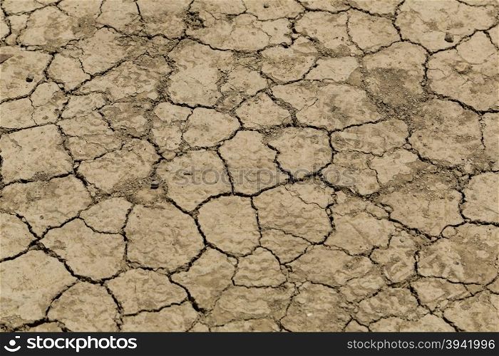 Texture of a dry and cracked land
