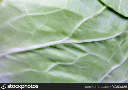 Texture of a green cabbage. Healthy Eating