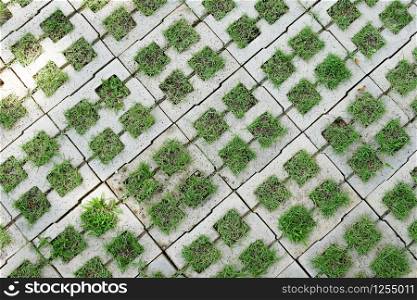 Texture of a paving stone track on a green grass