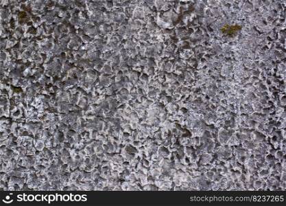 Texture of an old concrete wall with holes, hollows with green moss. The porous surface is gray.