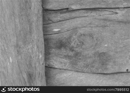texture of bark wood use as natural background, black and white tone