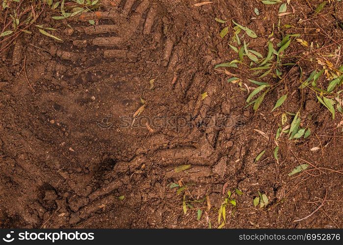 Texture of brown mud with tractor tyre tracks. Texture of brown mud with tractor tyre tracks.