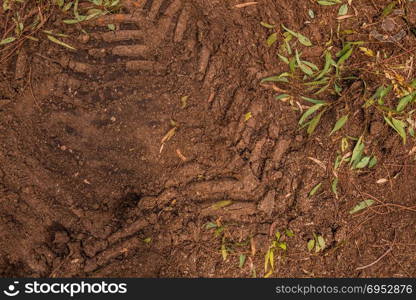 Texture of brown mud with tractor tyre tracks. Texture of brown mud with tractor tyre tracks.