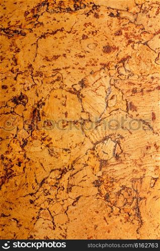 Texture of corkwood decoration material closeup
