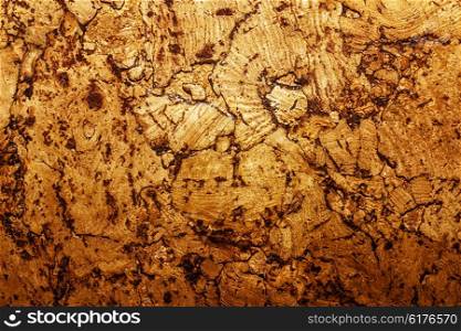 Texture of corkwood decoration material closeup
