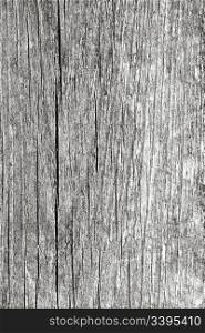 Texture of fence weathered wood background