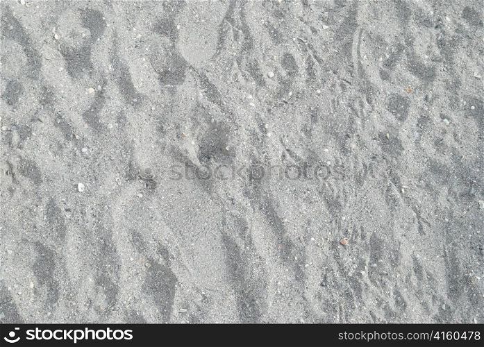 Texture of gray sand can be used for background.