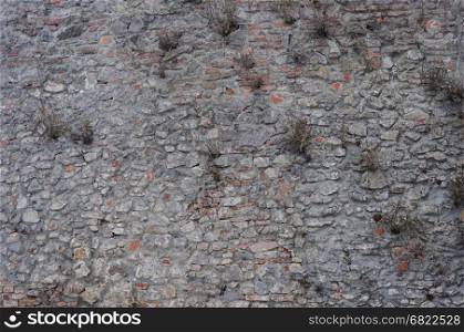 Texture of gray stone wall of old castle with dry grass