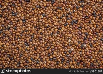 texture of kaniwa grain, gluten free, indigenous Andean food crop, life size macro