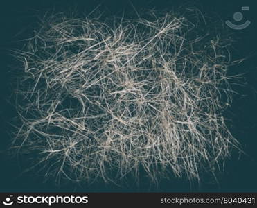 Texture of long dry grass on black background