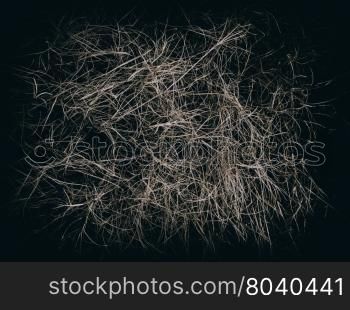 Texture of long dry grass on black background