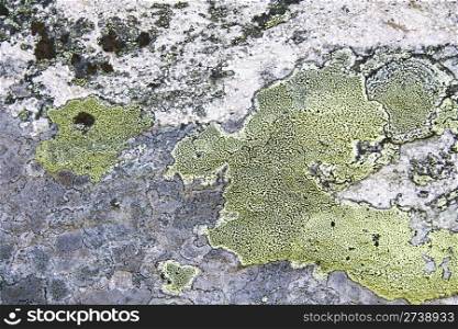 Texture of nature stone background closeup