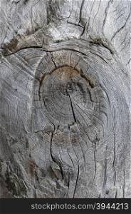 Texture of old hewn wood with knot close up
