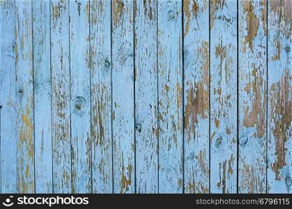 Texture of old weathered blue wooden planked fence