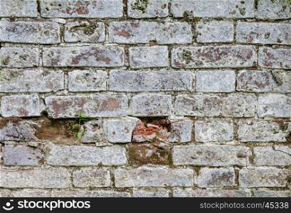 Texture of old white brick wall surface