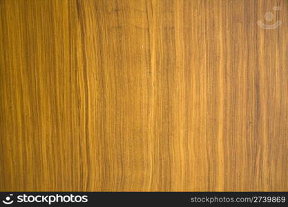 Texture of old wood background closeup