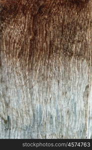 Texture of old wooden wall. Image of close-up texture of old wooden wall