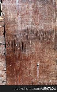 Texture of old wooden wall. Image of close-up texture of old wooden wall