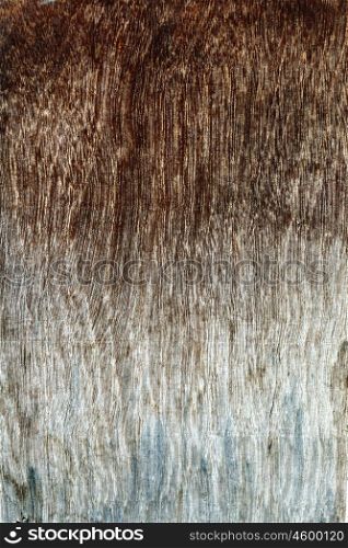 Texture of old wooden wall. Image of close-up texture of old wooden wall