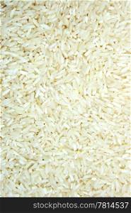 texture of rice grains, background
