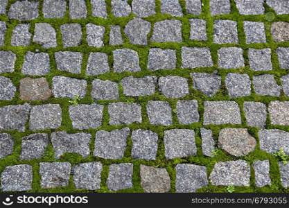 Texture of road paved with stones and sprouted green moss
