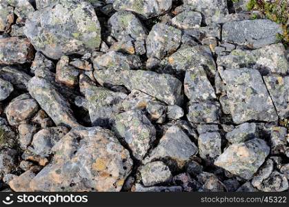 Texture of rough gray stones with lichen in tundra