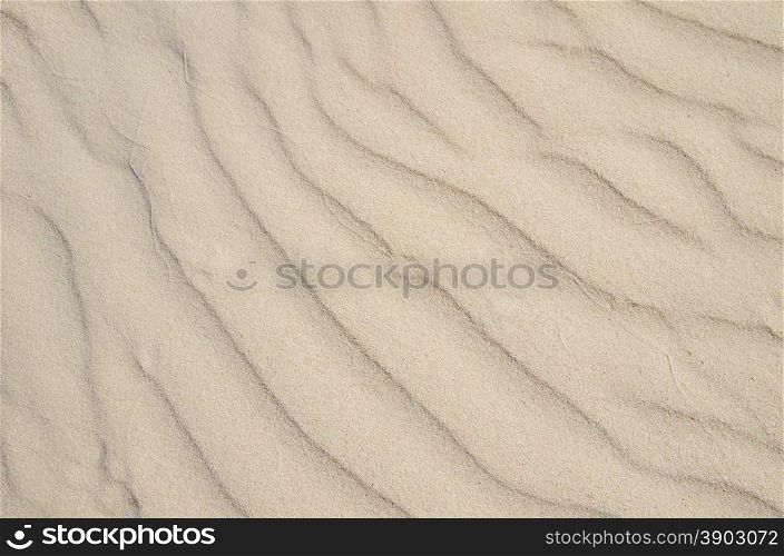 texture of sand beach