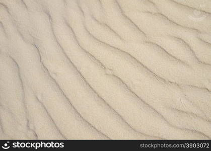 texture of sand beach