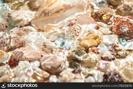 Texture of seashells and pearl lying on sea shore underwater