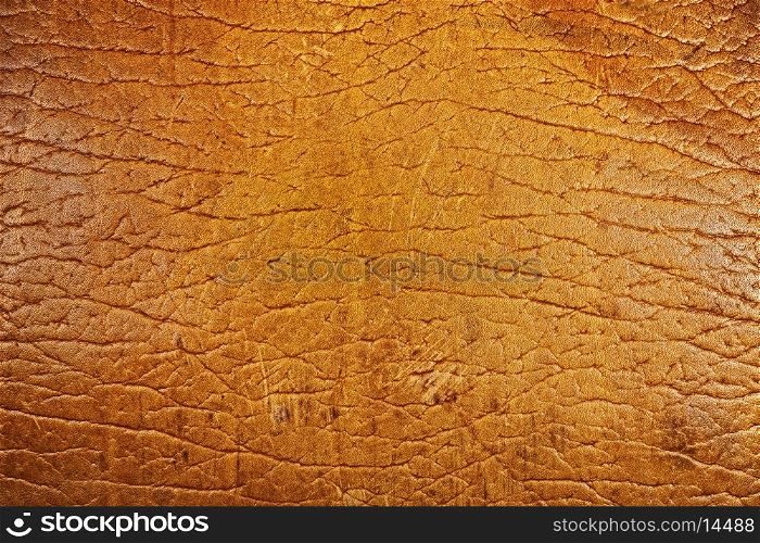texture of the old beige leather closeup
