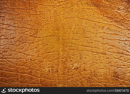 texture of the old beige leather closeup