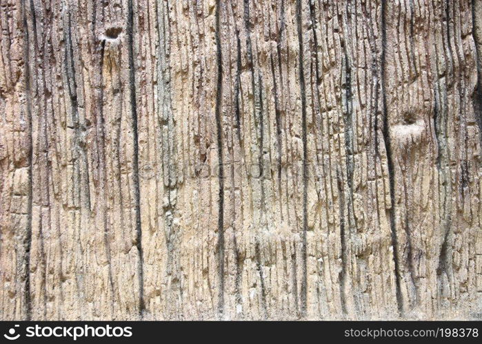 Texture of the old weathered wood for the background.