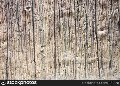 Texture of the old weathered wood for the background.