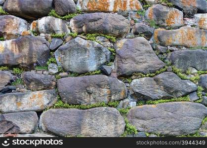 Texture of the walls of large boulders of the Solovetsky Monastery with grass sprouted in the cracks