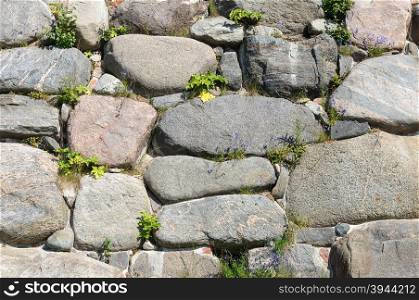 Texture of the walls of large stones with grass sprouted in the cracks