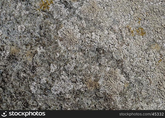 Texture of uneven grey rock surface with lichen