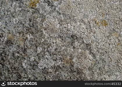 Texture of uneven grey rock surface with lichen