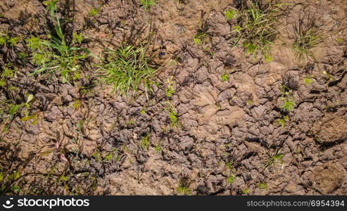 Texture of wet brown dirt mud.