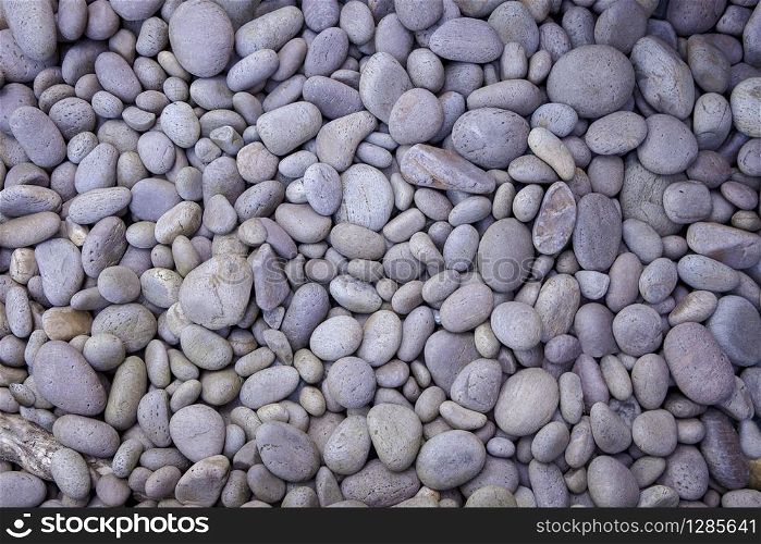 texture of white gravel on floor use as natural background